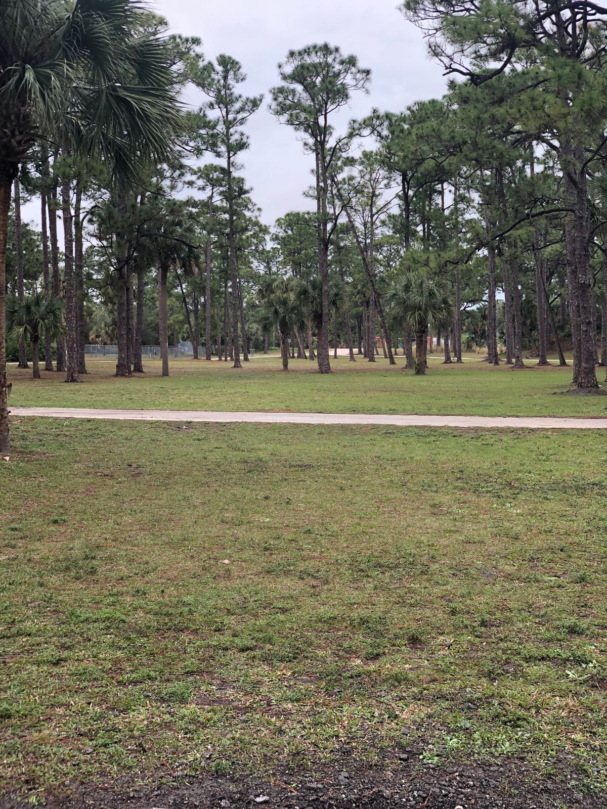 Hole 3