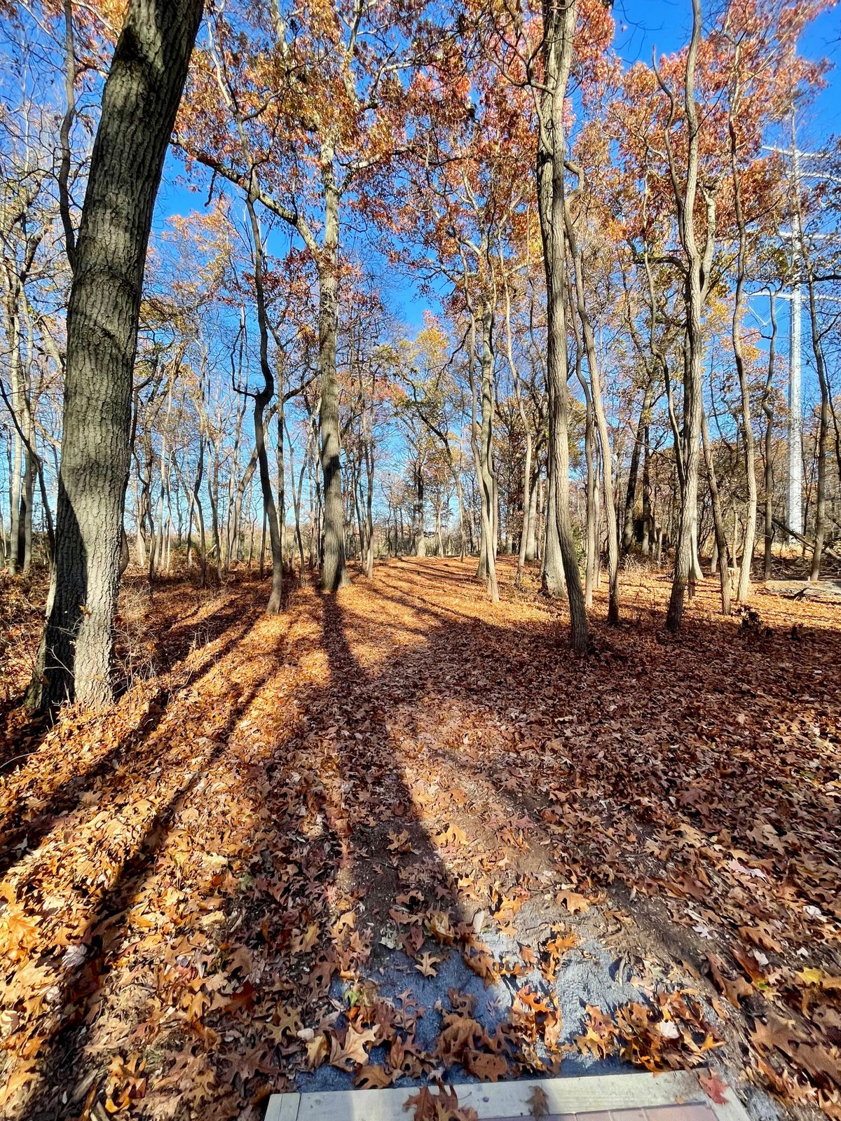 Mercer County West Hole 4