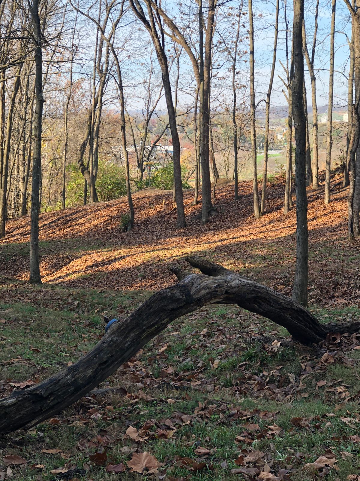 Hole 8