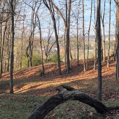 Hole 8