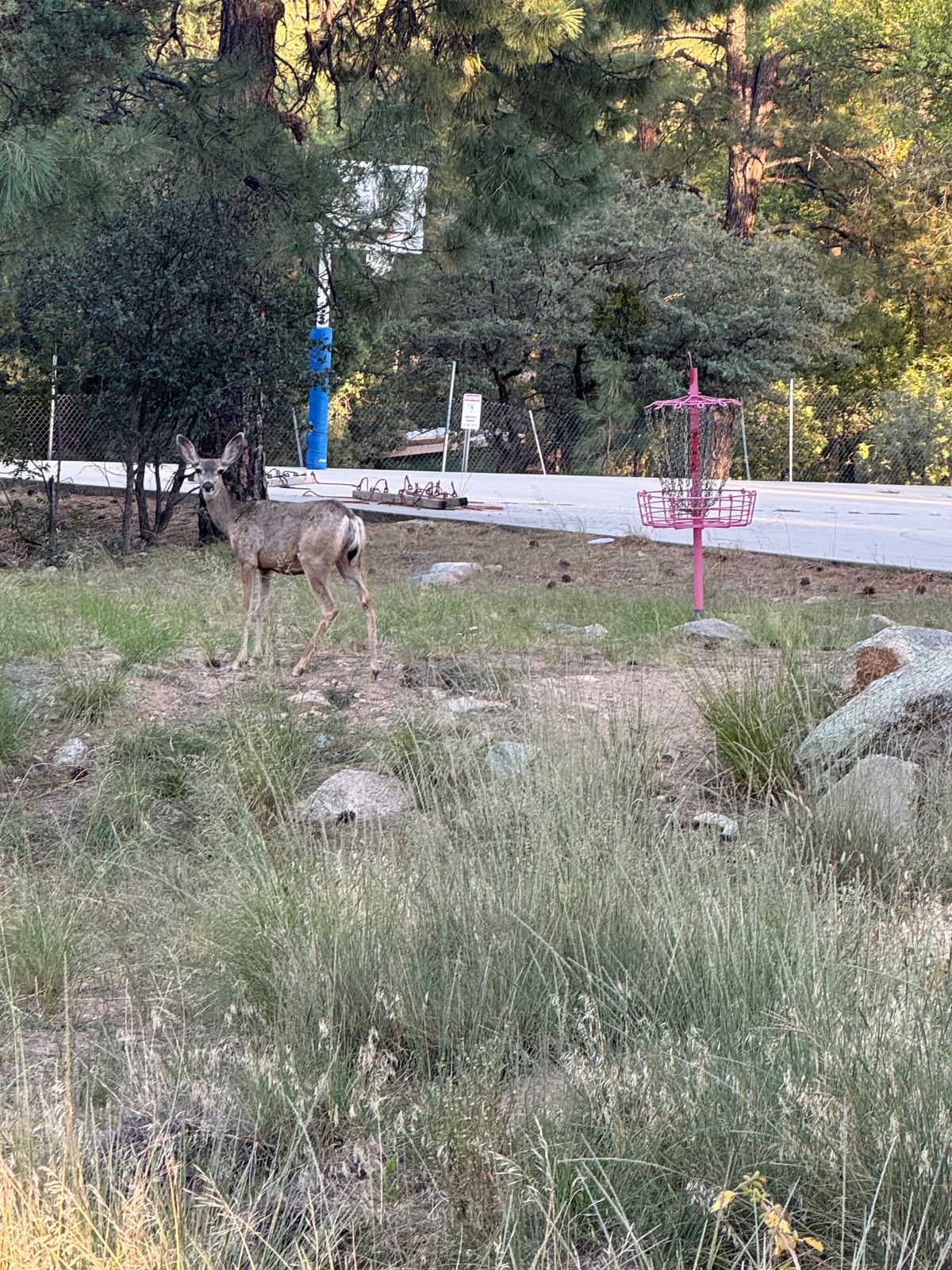 Hole 1