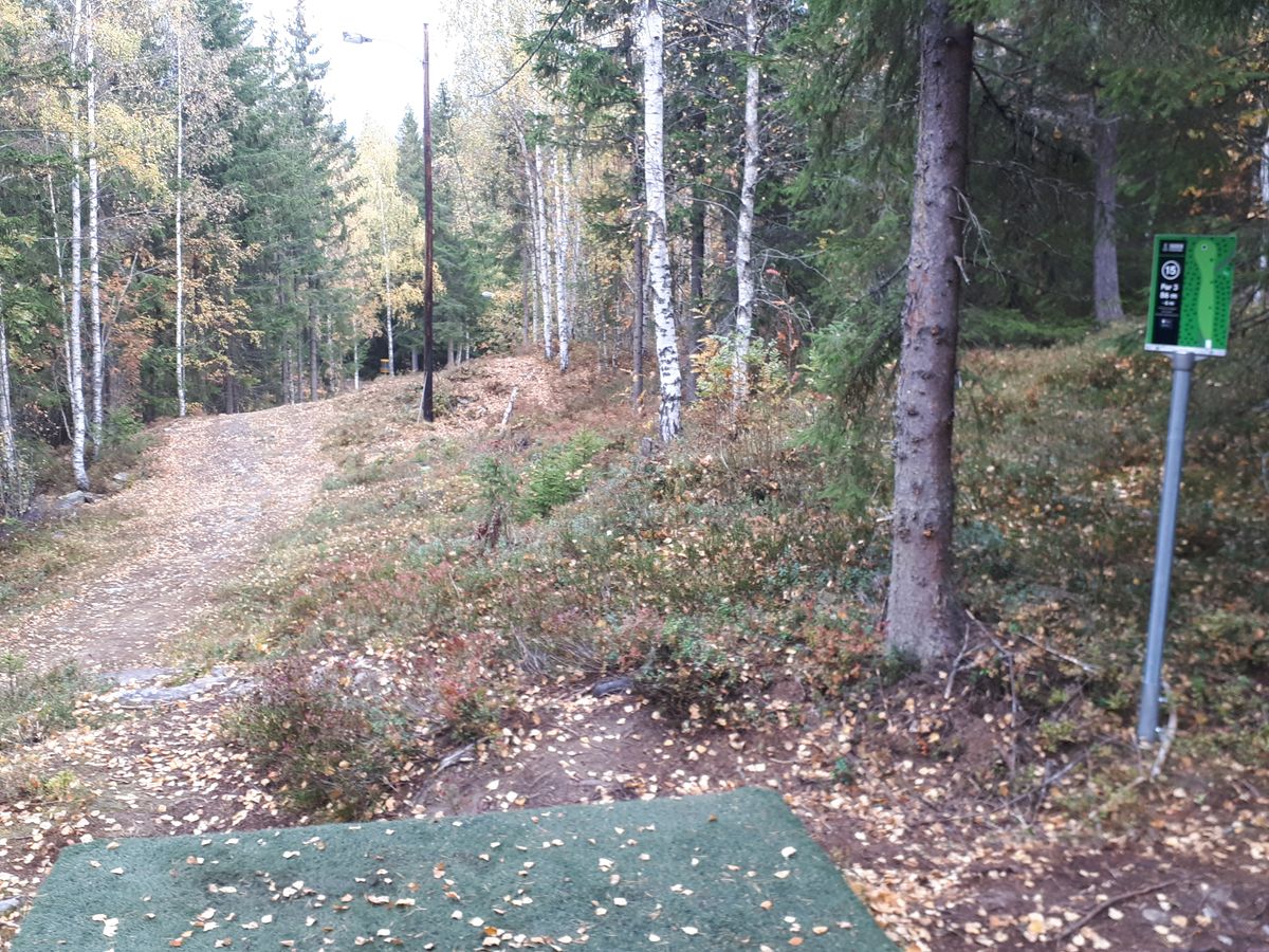 Short downhill hole, makes you think.