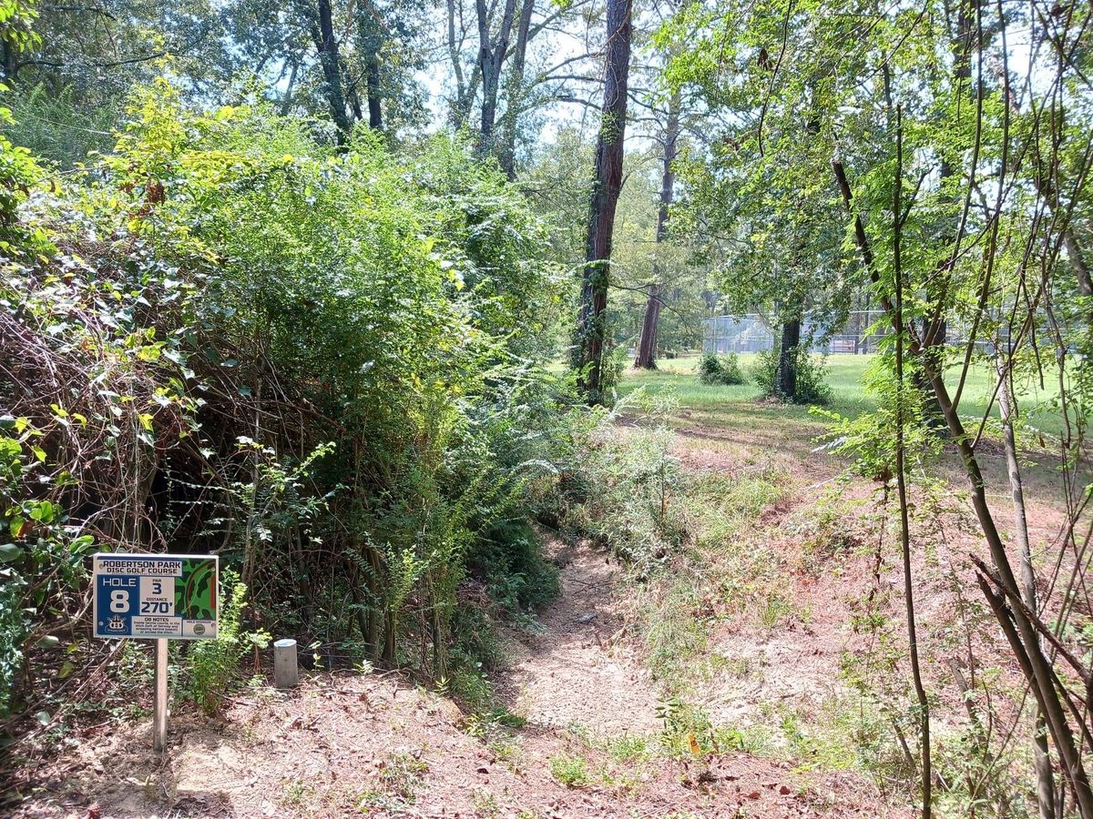 Hole 8