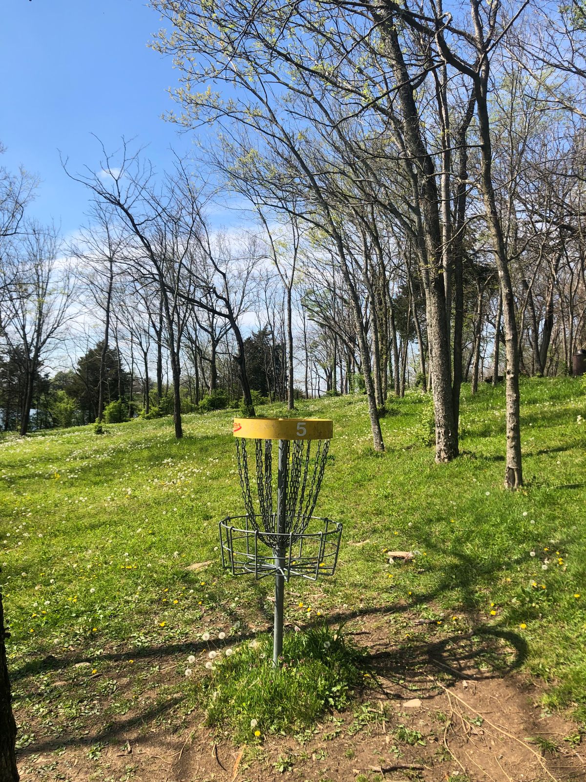 Hole 5 pin