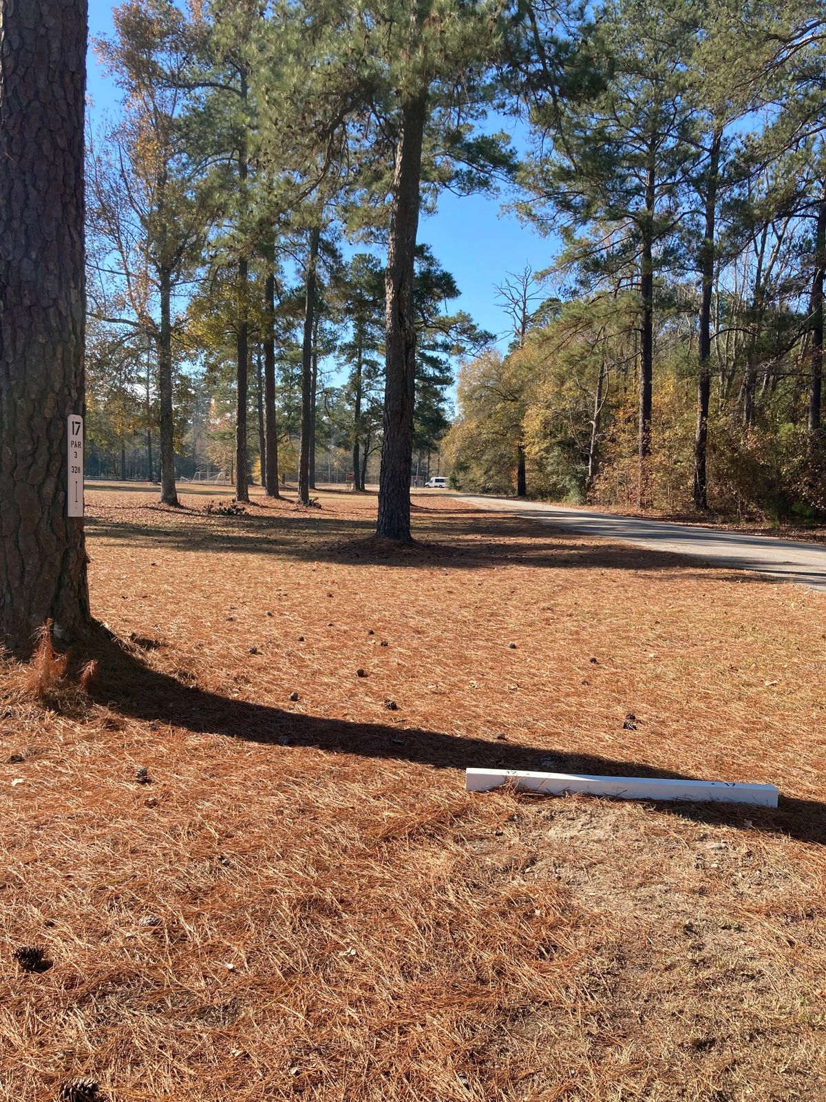 Hole 17, Tee Box, 328’ Straight.