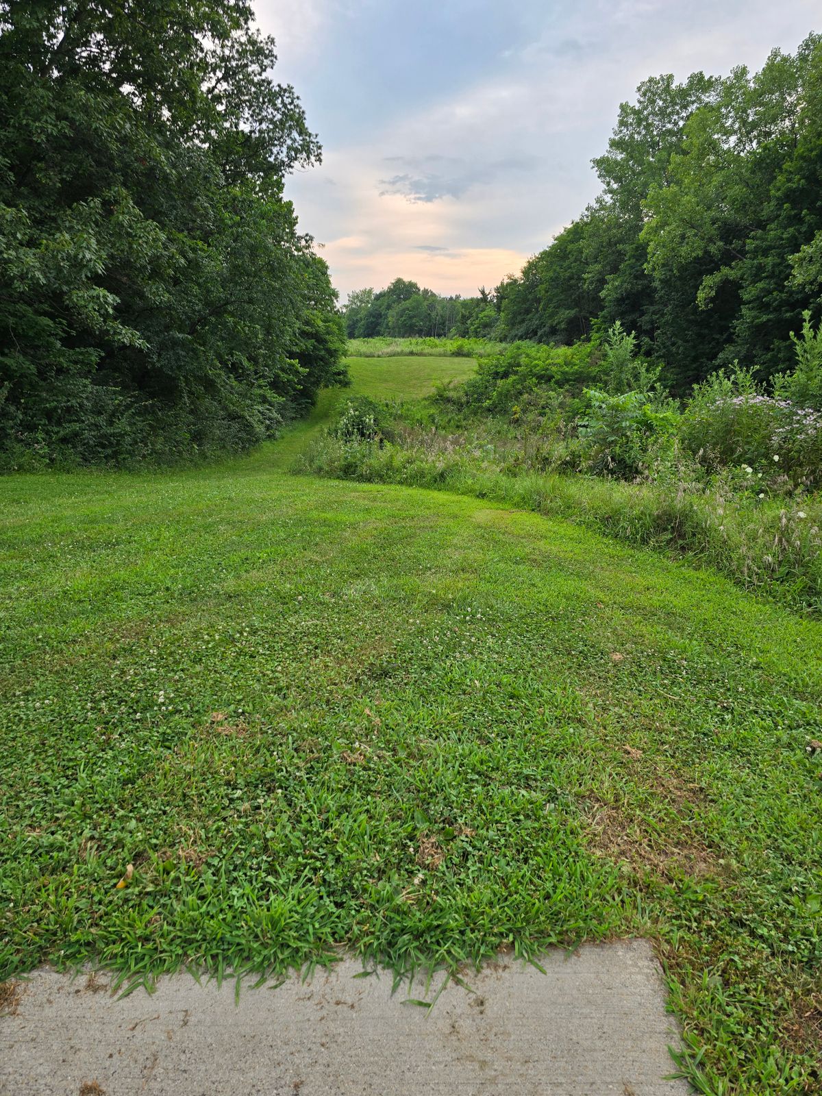 Hole 14 tee shot