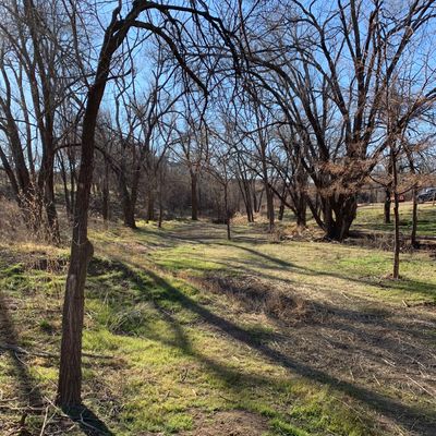 Tree tunnel 2-28-20