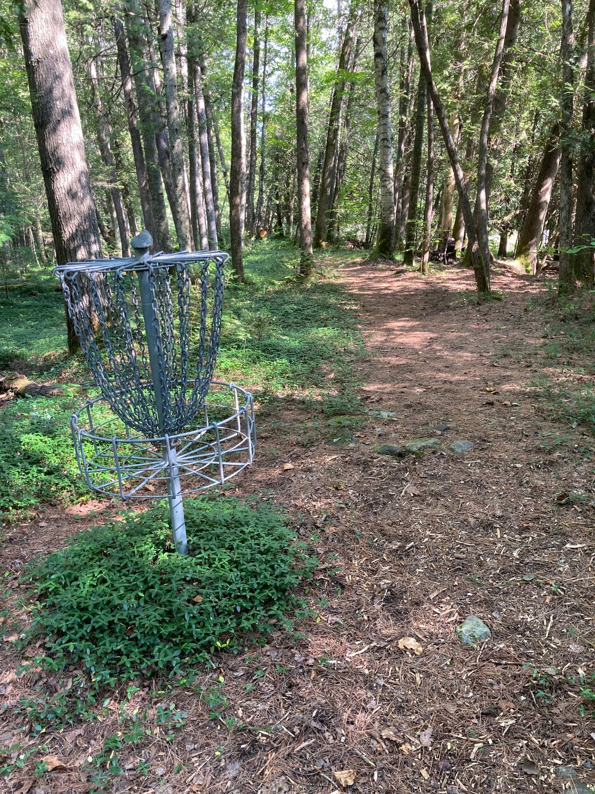 Hole #2