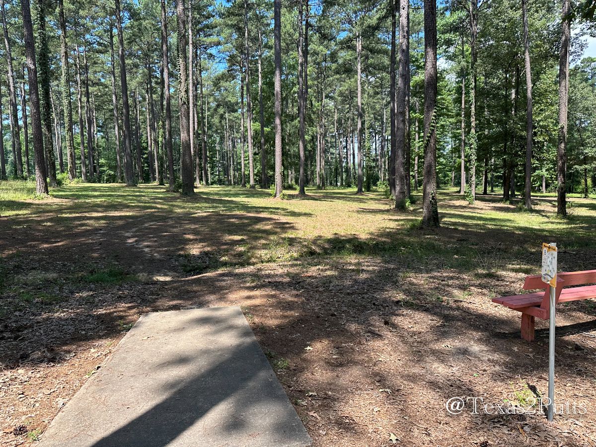 Hole 8