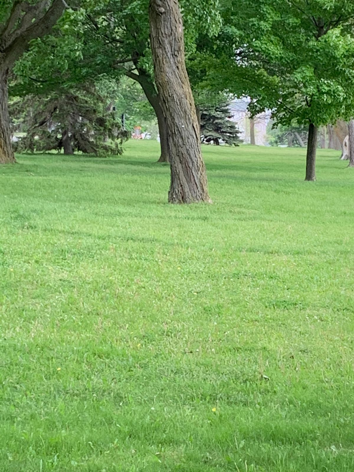 Hole 4 basket