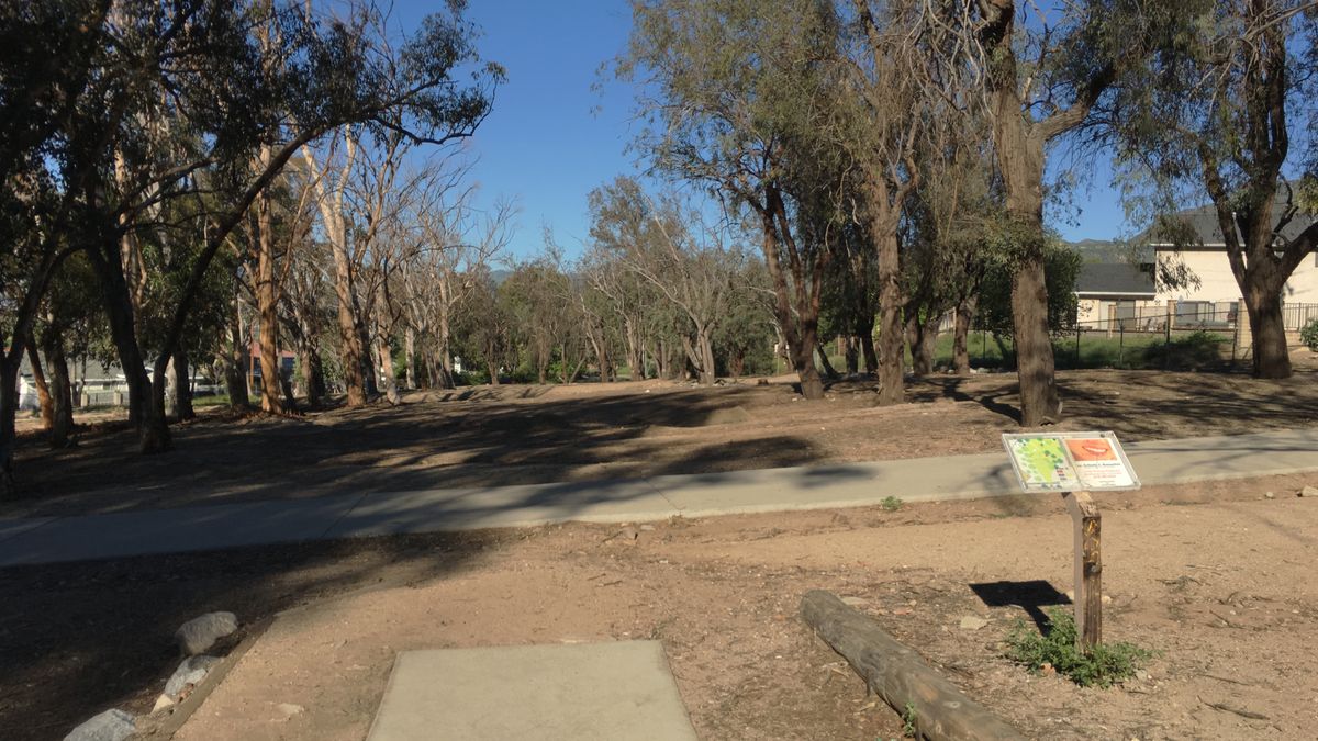 Hole 5