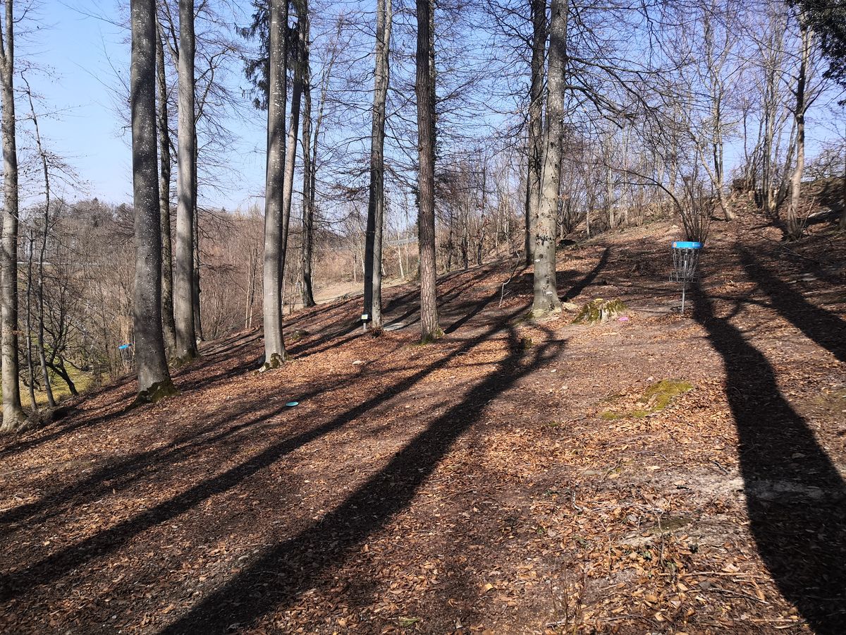 Schönes Gelände, größtenteils im Wald