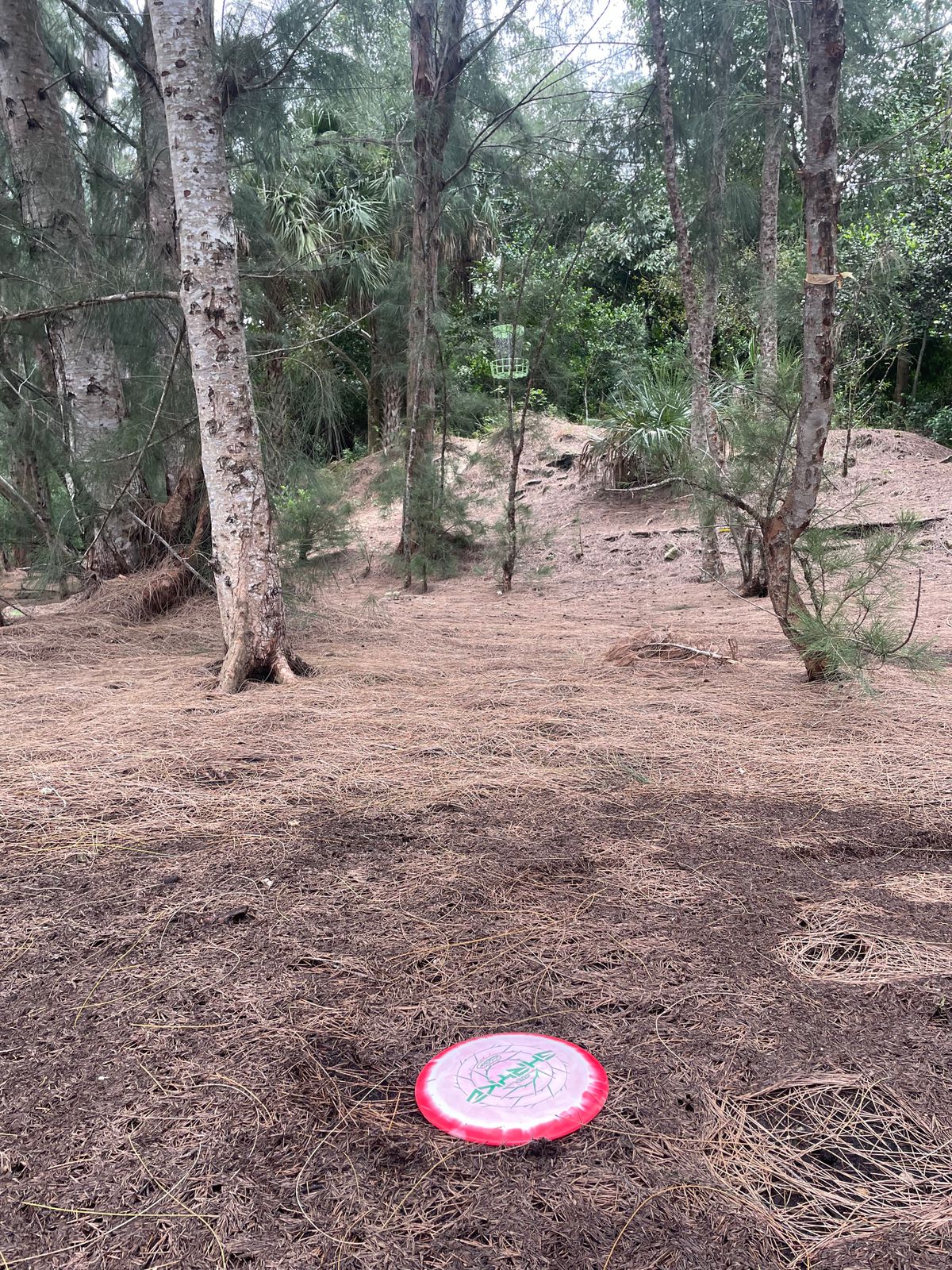 Hole 10 Elevated Basket!