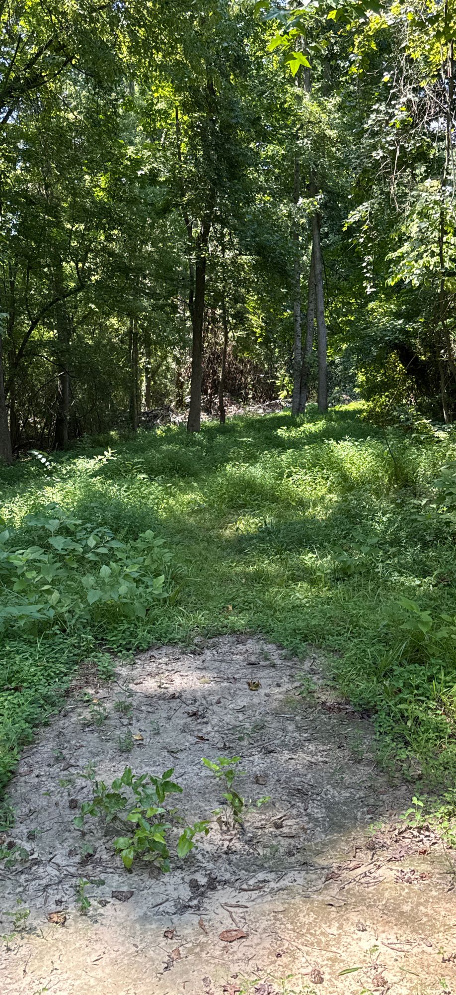 The course is super overgrown right now! Can’t play hole 5 because of fallen trees/ high grass.