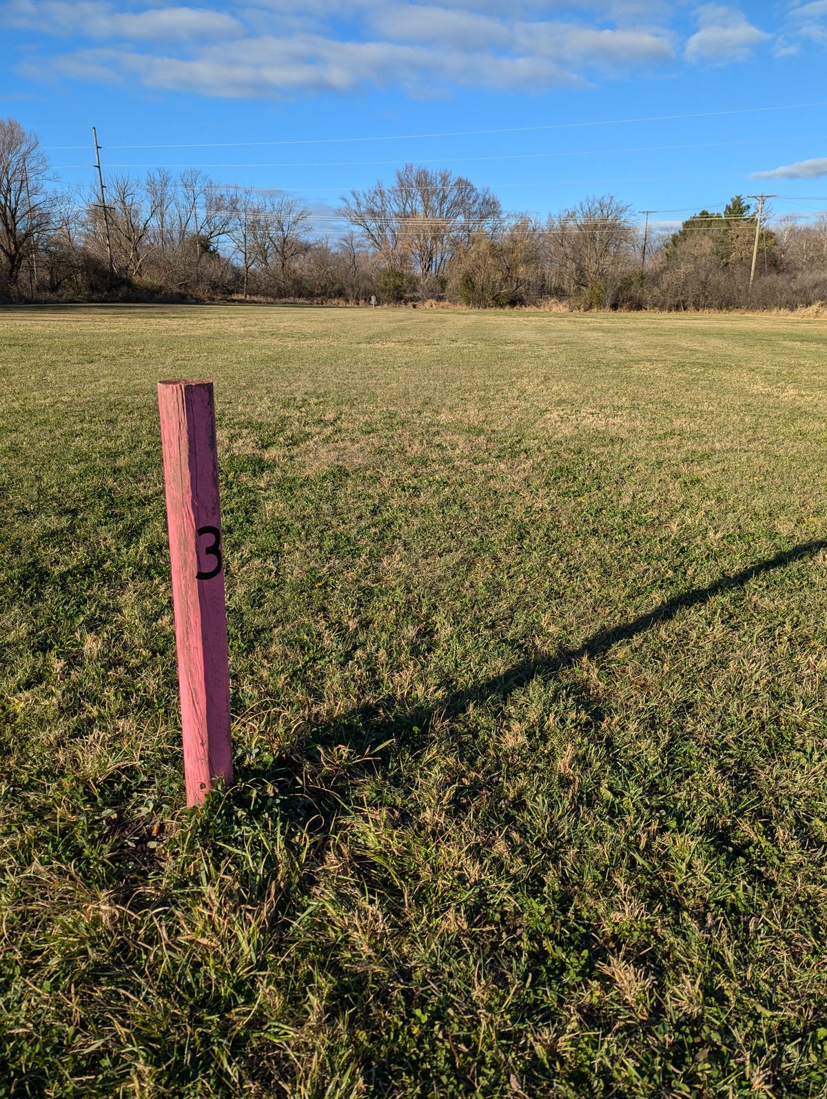Hole 3 tee box facing basket 3
