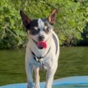User avatar image