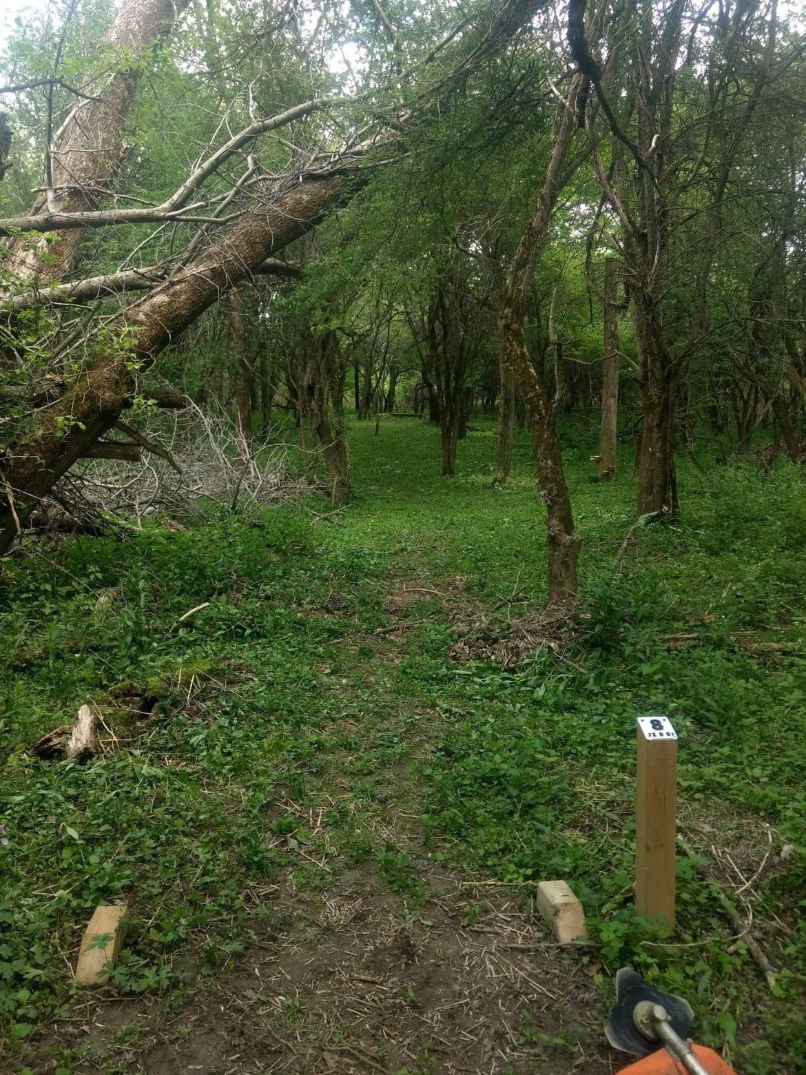 Crap apple tree hell.  Wonderful tight line 200’ throw.