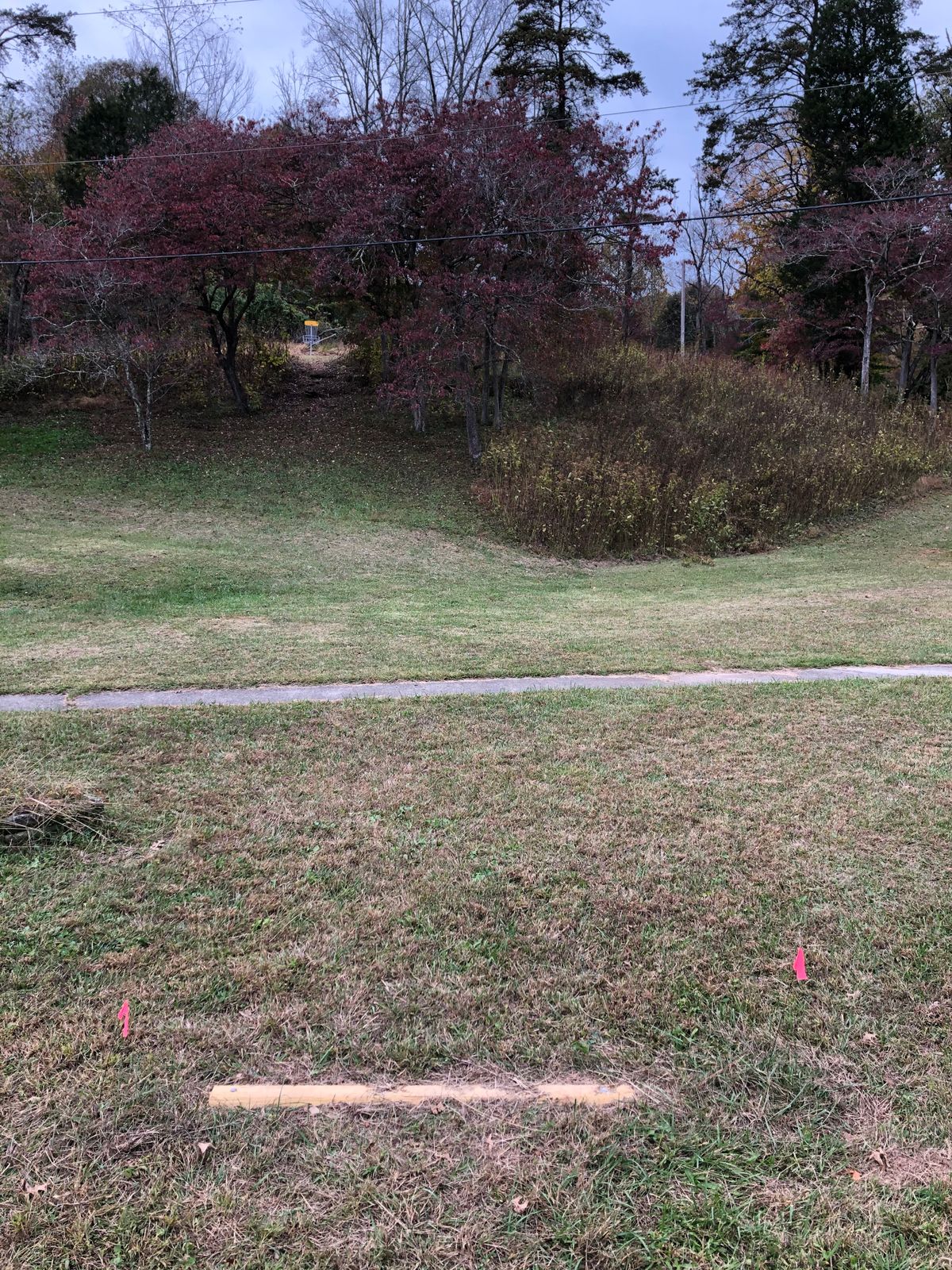 Basket #1 from the short tee