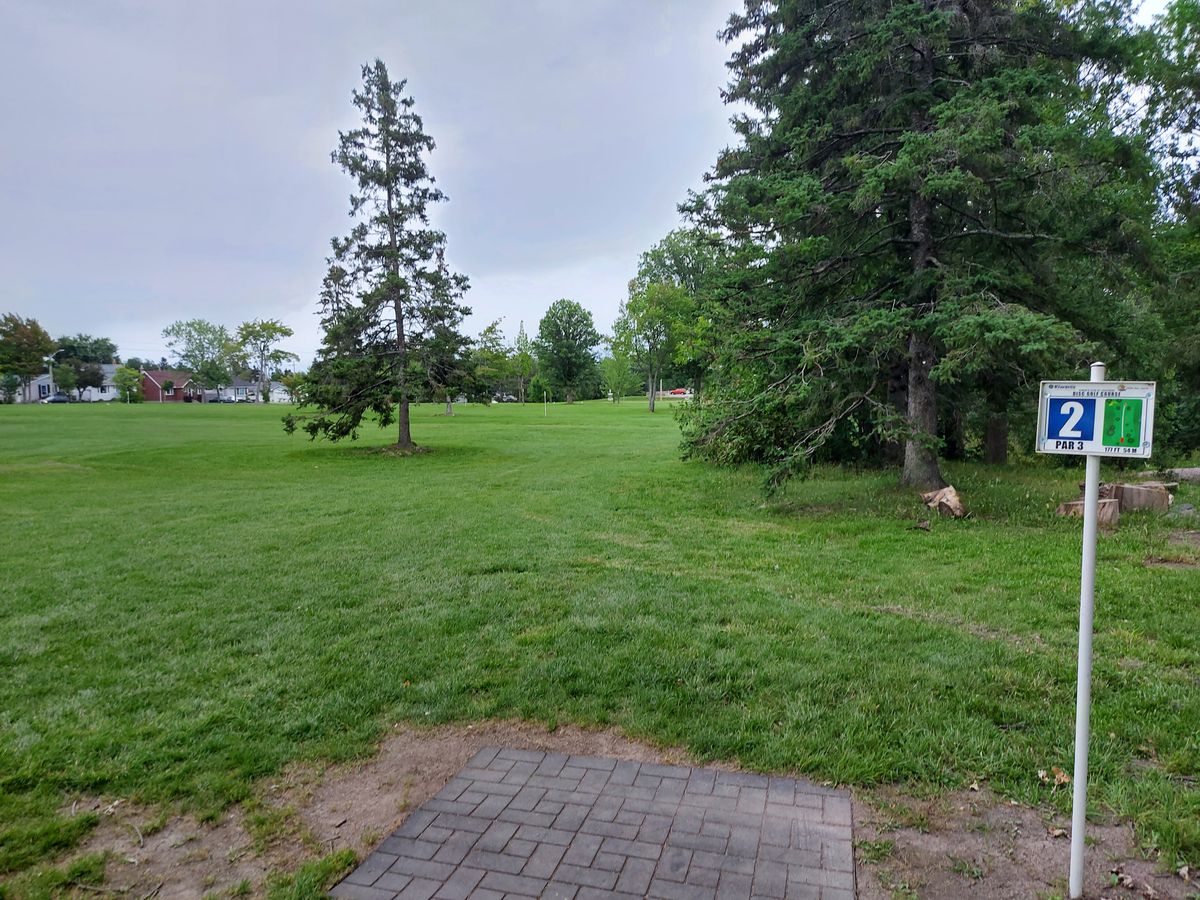 Tee pad 2.🌲🌲🌲🌲
