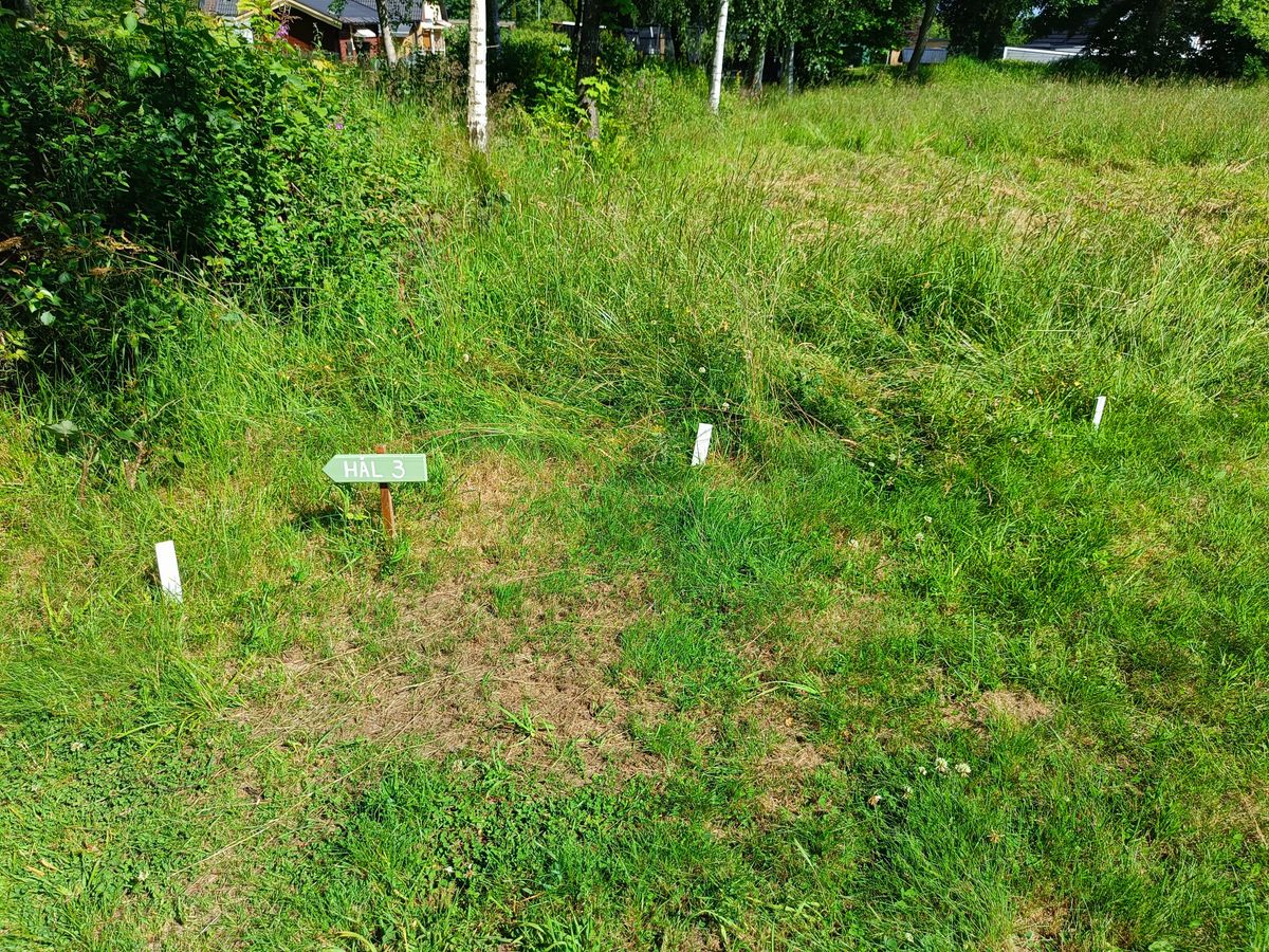 Pretty much all OB is very well marked with stakes, there's some signage for next holes and other touches that show care for the course