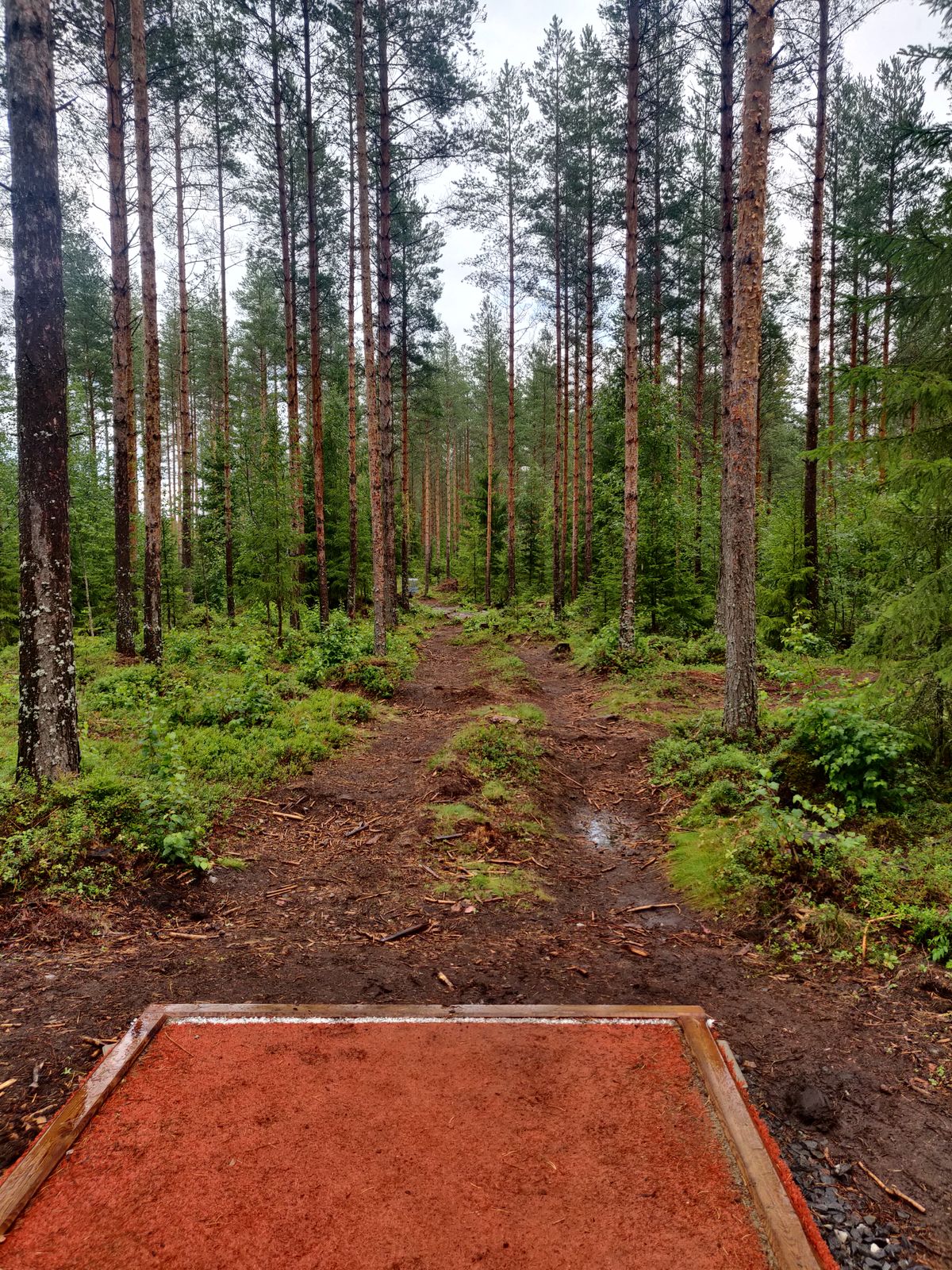 Väylä 1