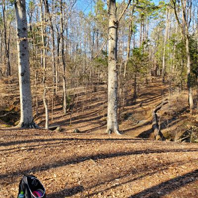 View from hole 4, looking back towards the tees. You can see the fairway going down the hill on the right