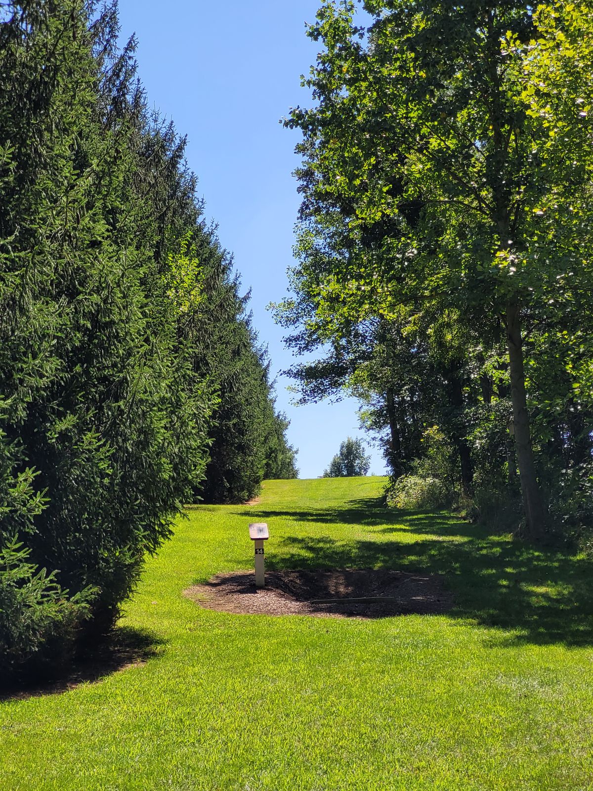 Hole 14 fairway
