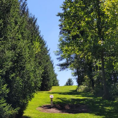 Hole 14 fairway