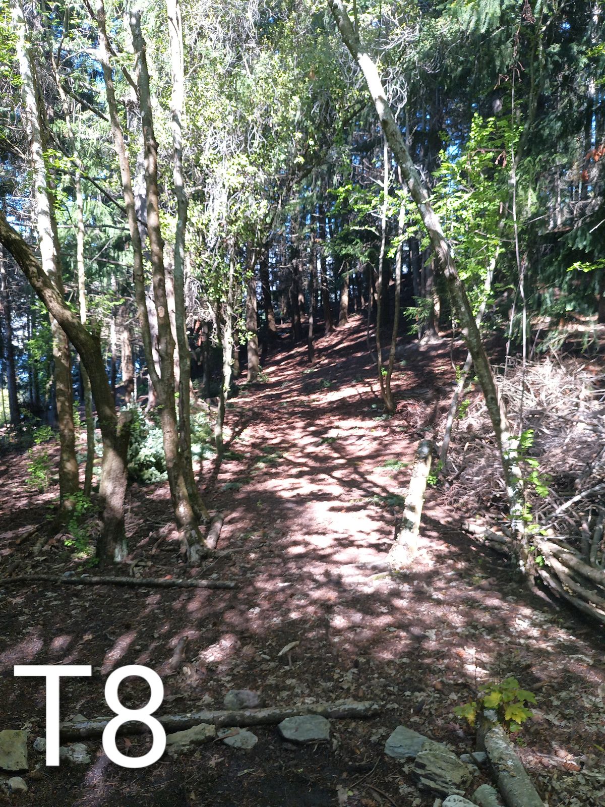 58m uphill try not to go left or long as it can be hard to find your disc if it rolls down the hill