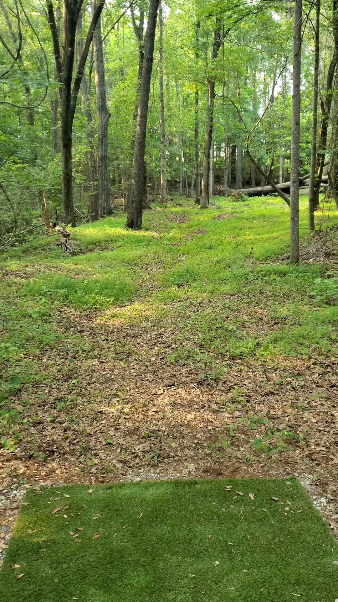 Hole 7