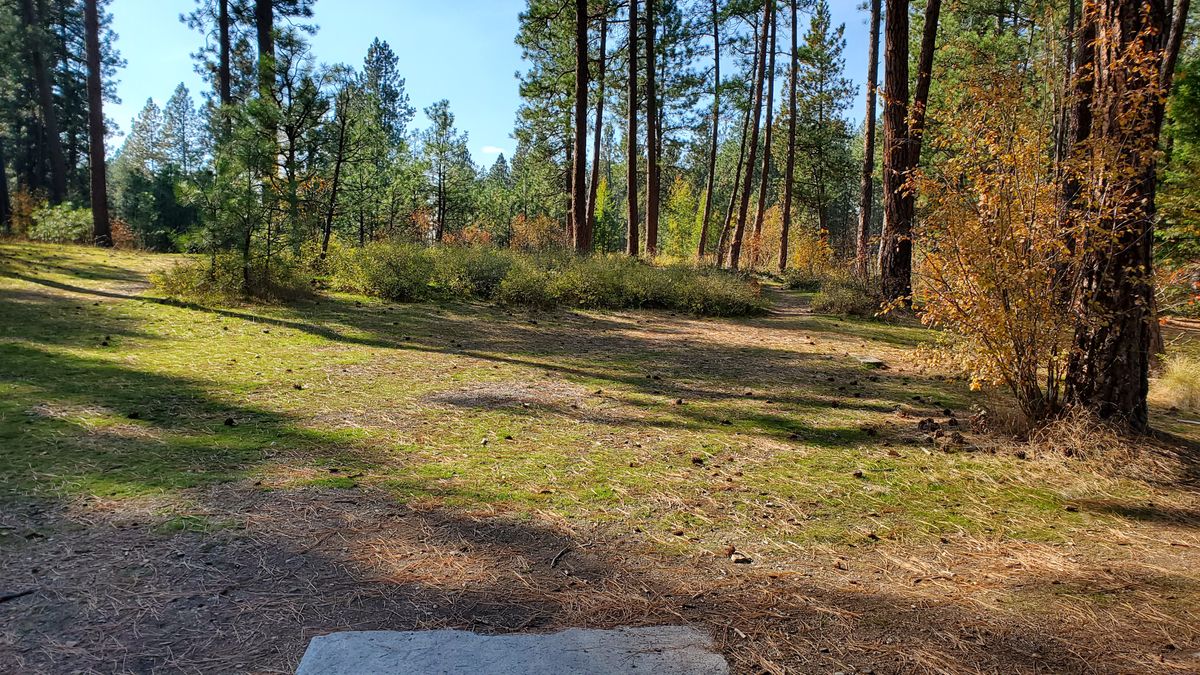 Tee pad hole 6