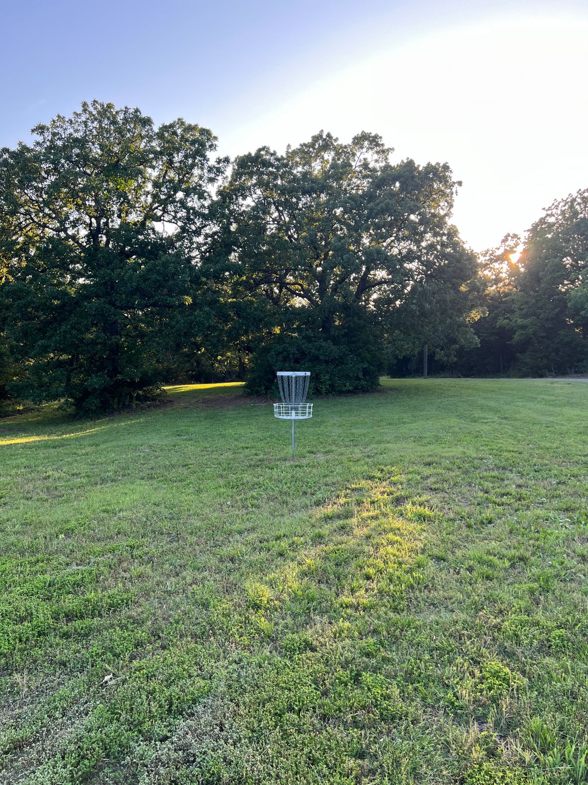 Hole 6s basket from behind