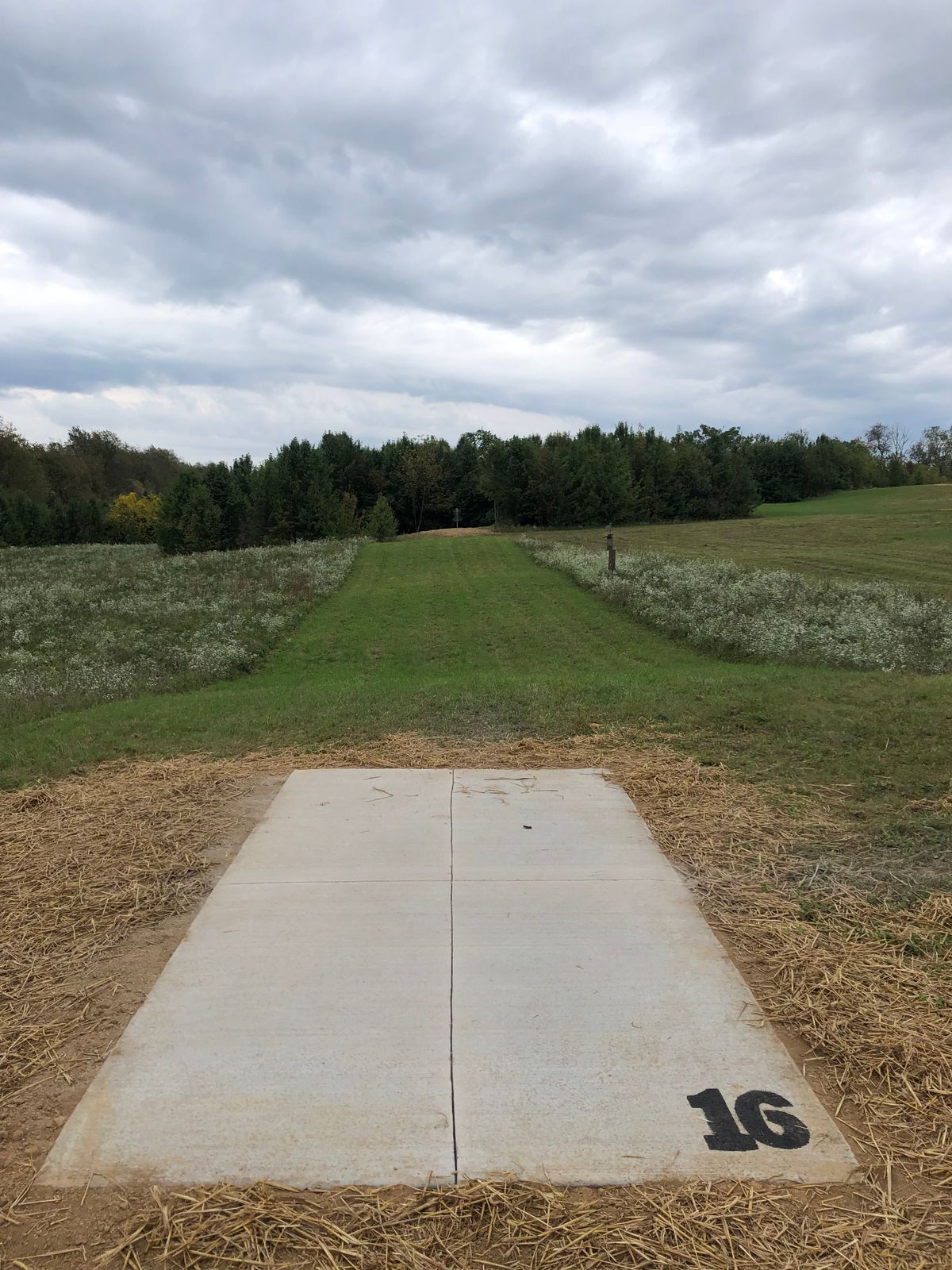 New hole 16: Tee pad is to the left of 15's pin. Straight shot 230’ into the edge of the woods with a drop off behind the basket