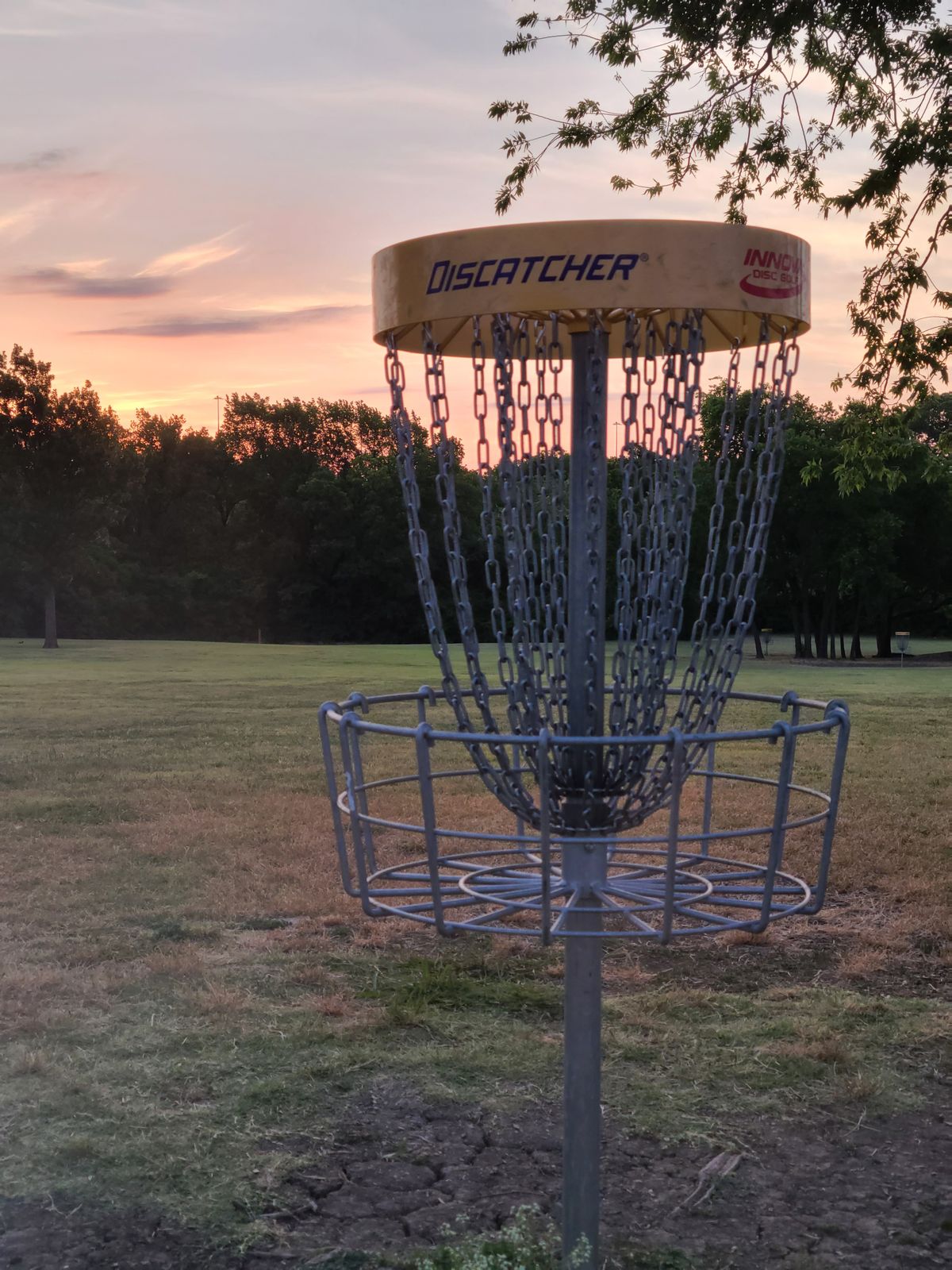 Hole 5 basket during a sunrise round