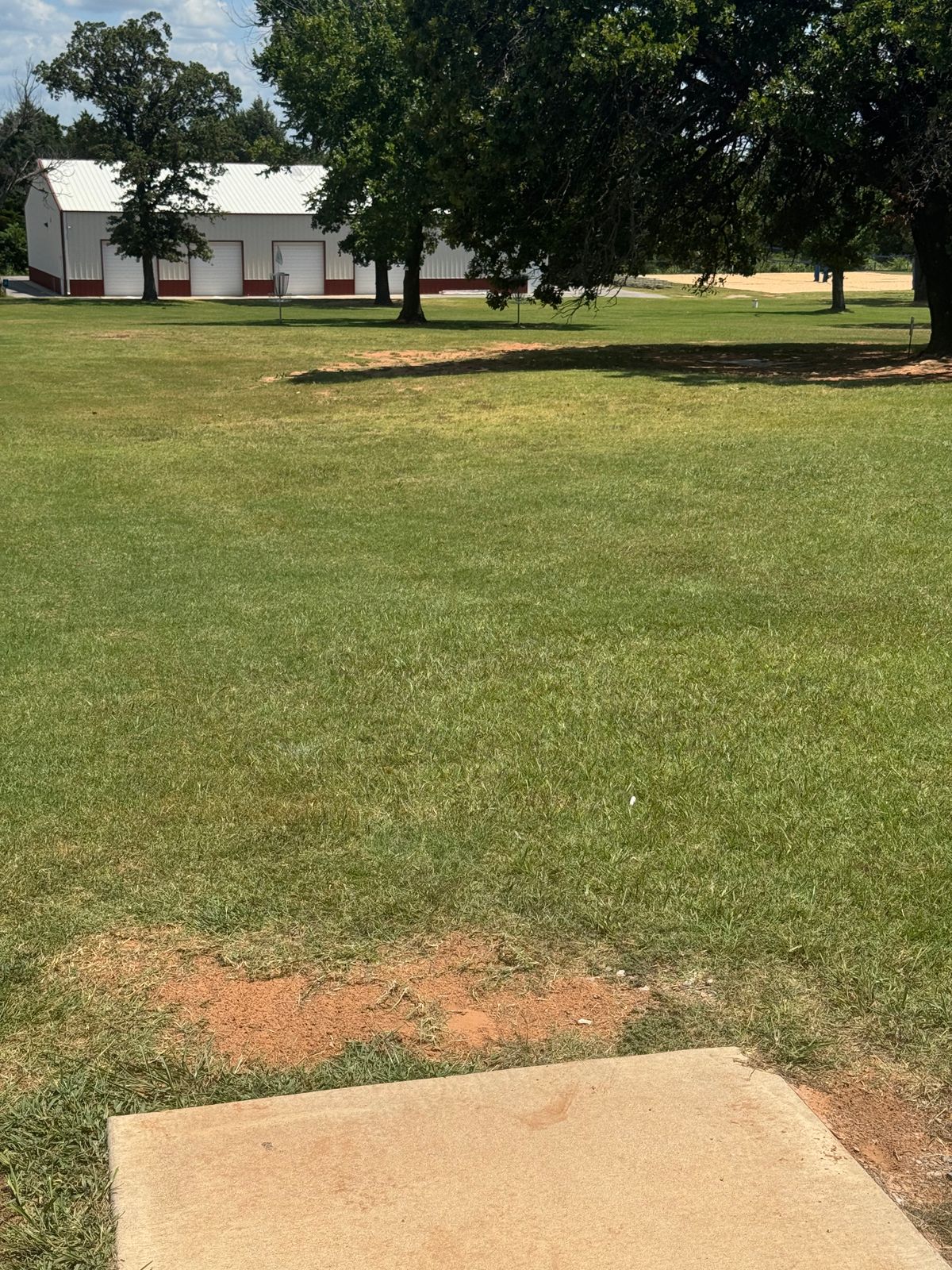 #7 tee