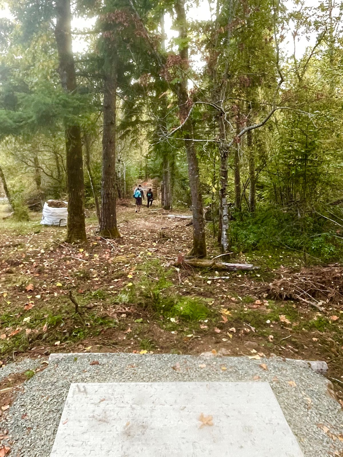 Hole 2 - red teepad