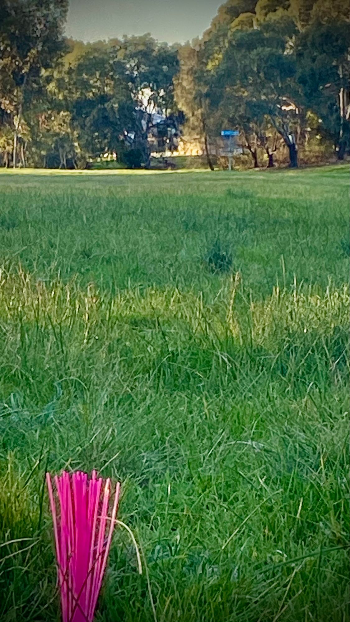 Pink bristles are very helpful finding tee pads.