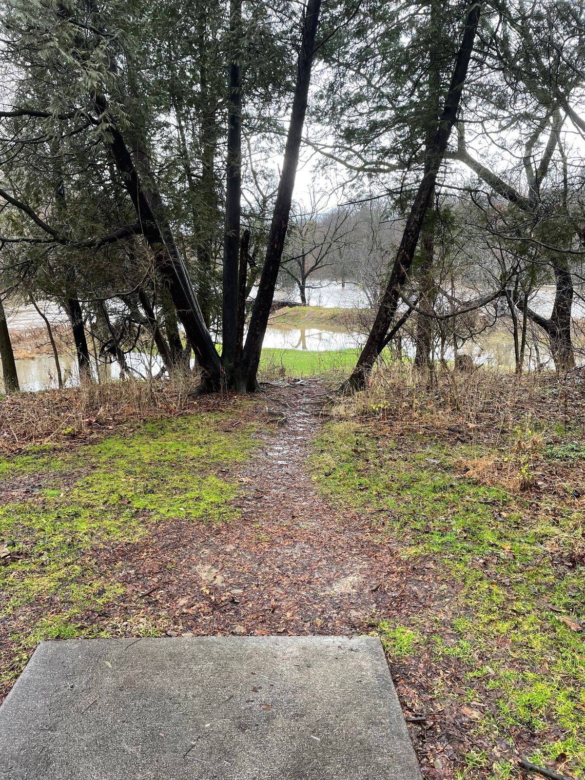 Hole 11 flooded
