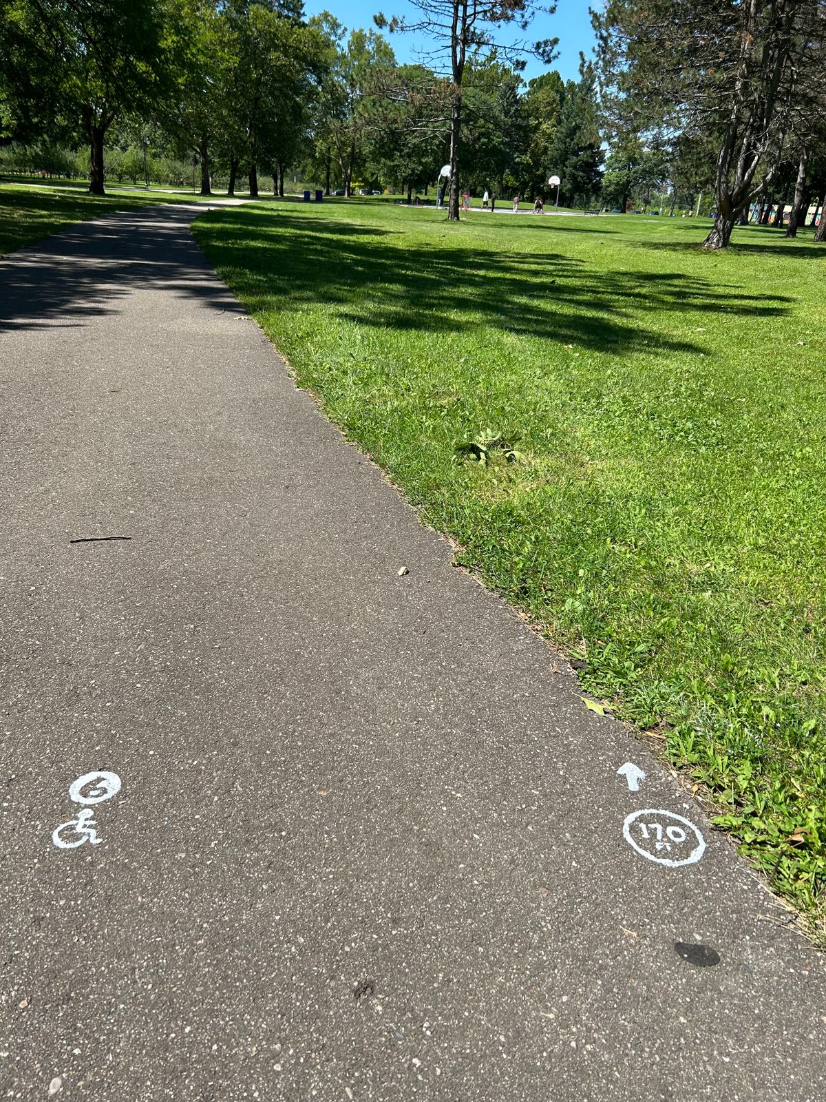 Wheel chair friendly tee 6 on pavement adjacent to regular hole 7