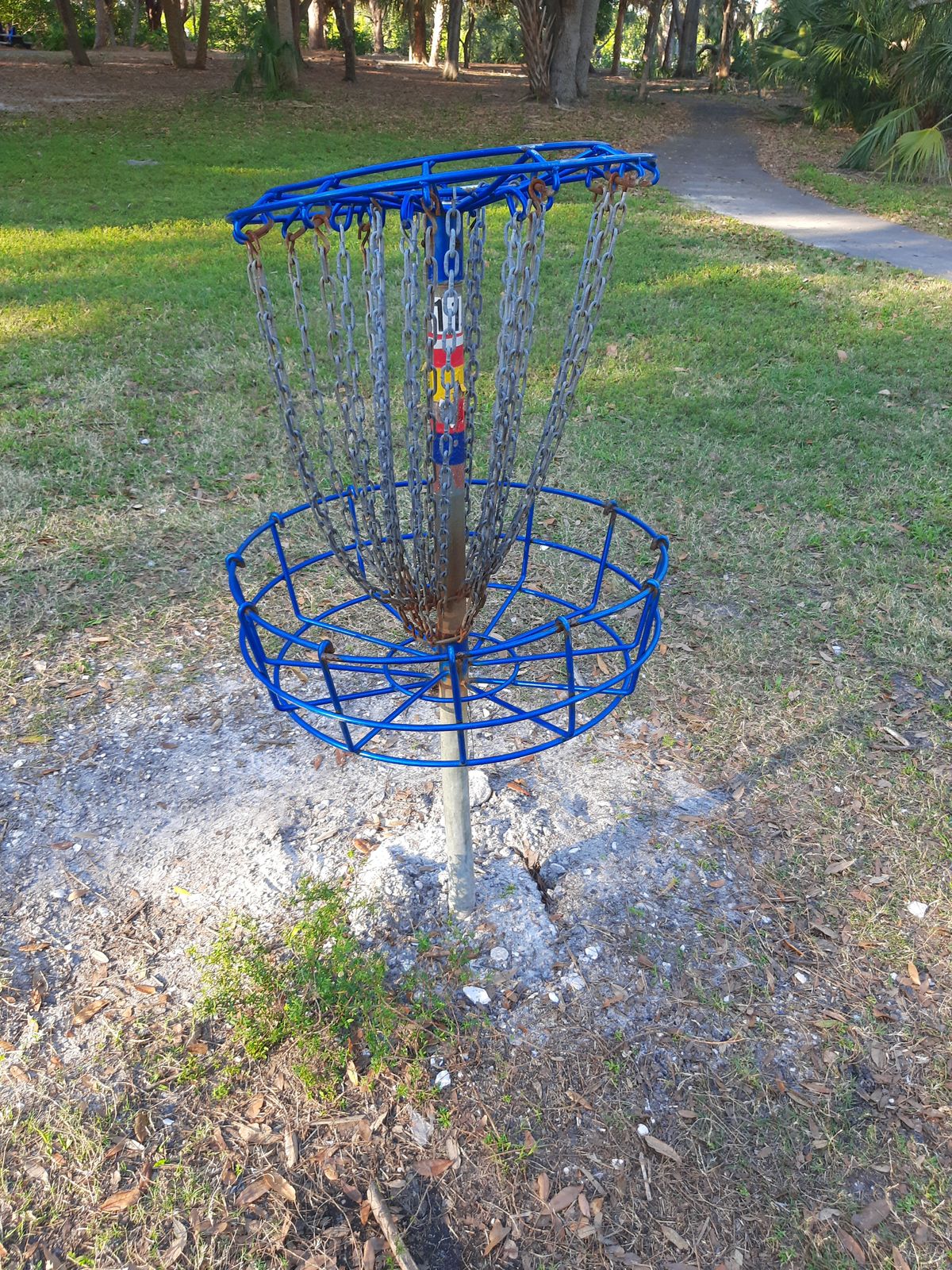 Basket 11