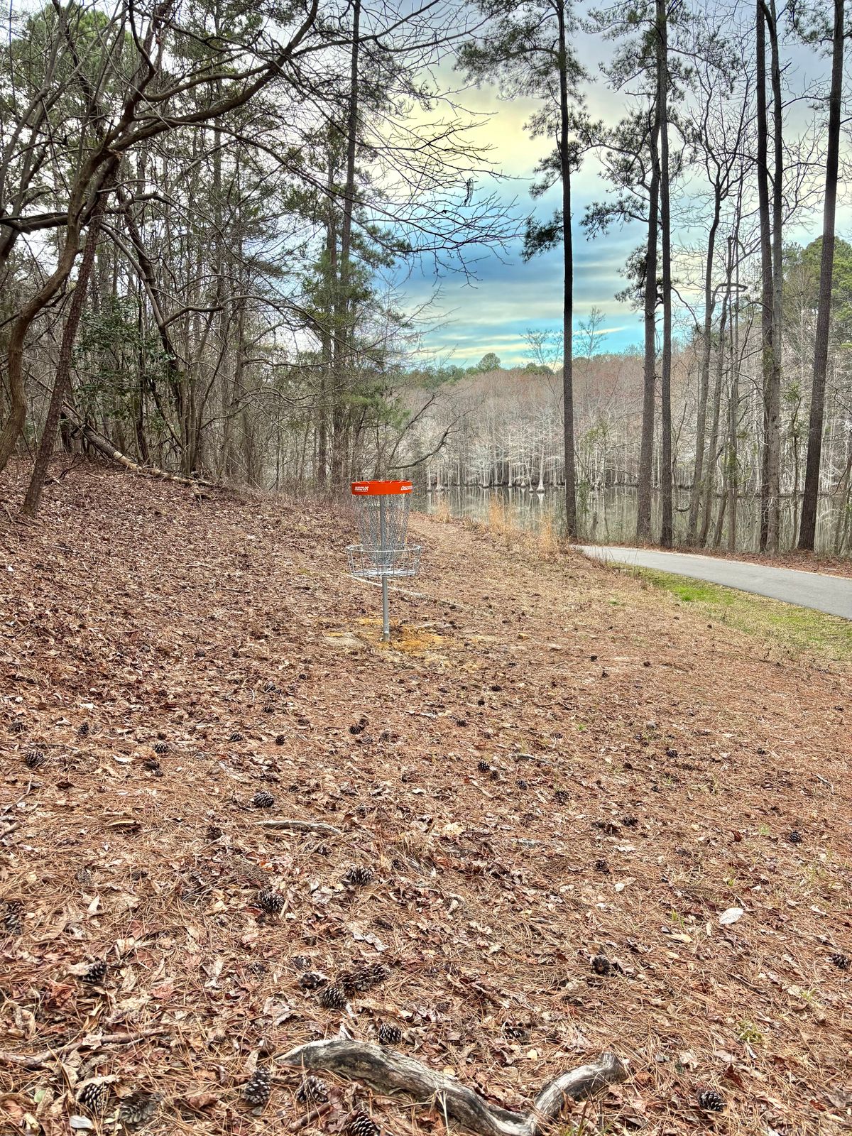 Hole 2 Basket