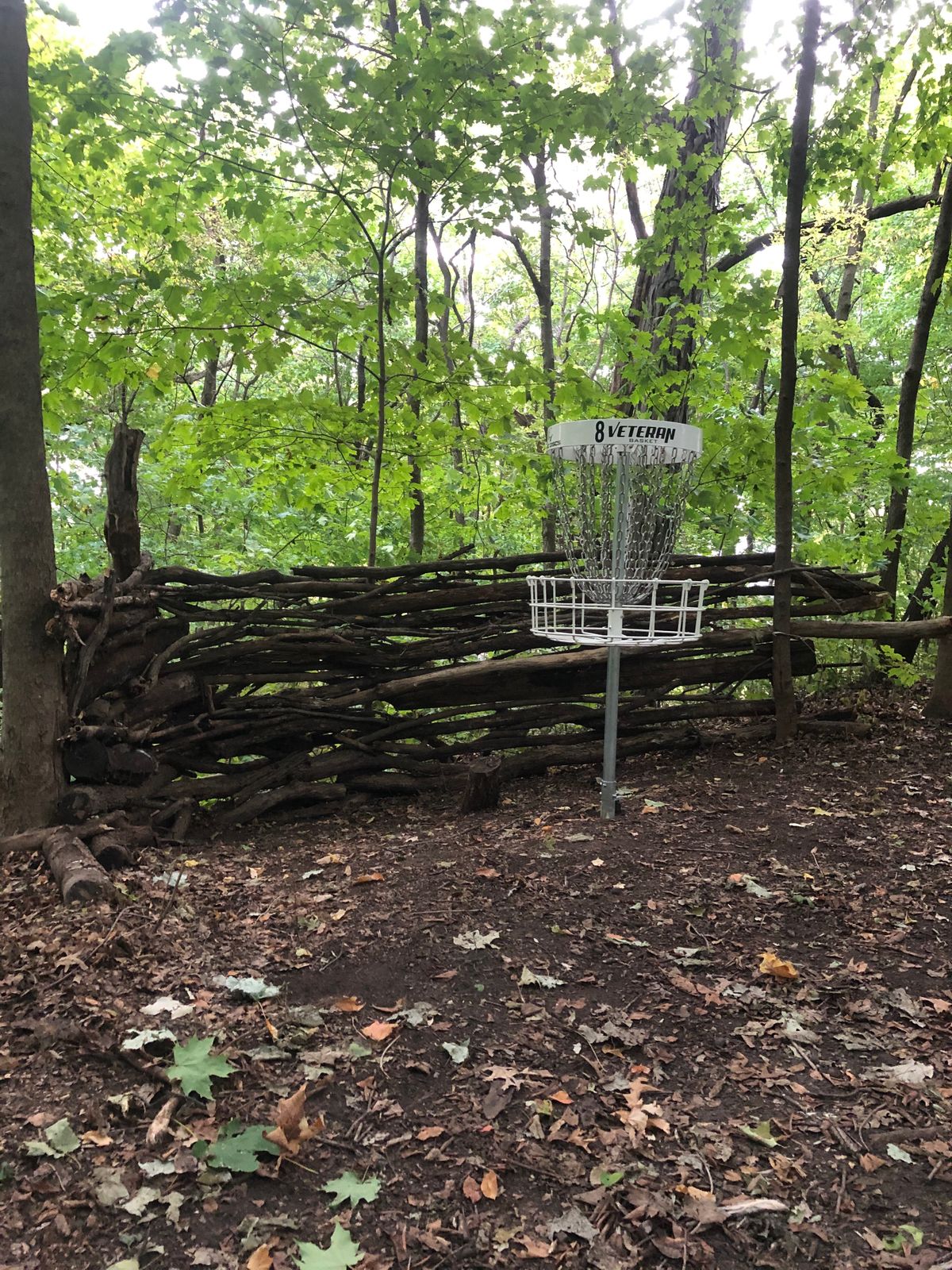 Hole 8 “Send it” wall