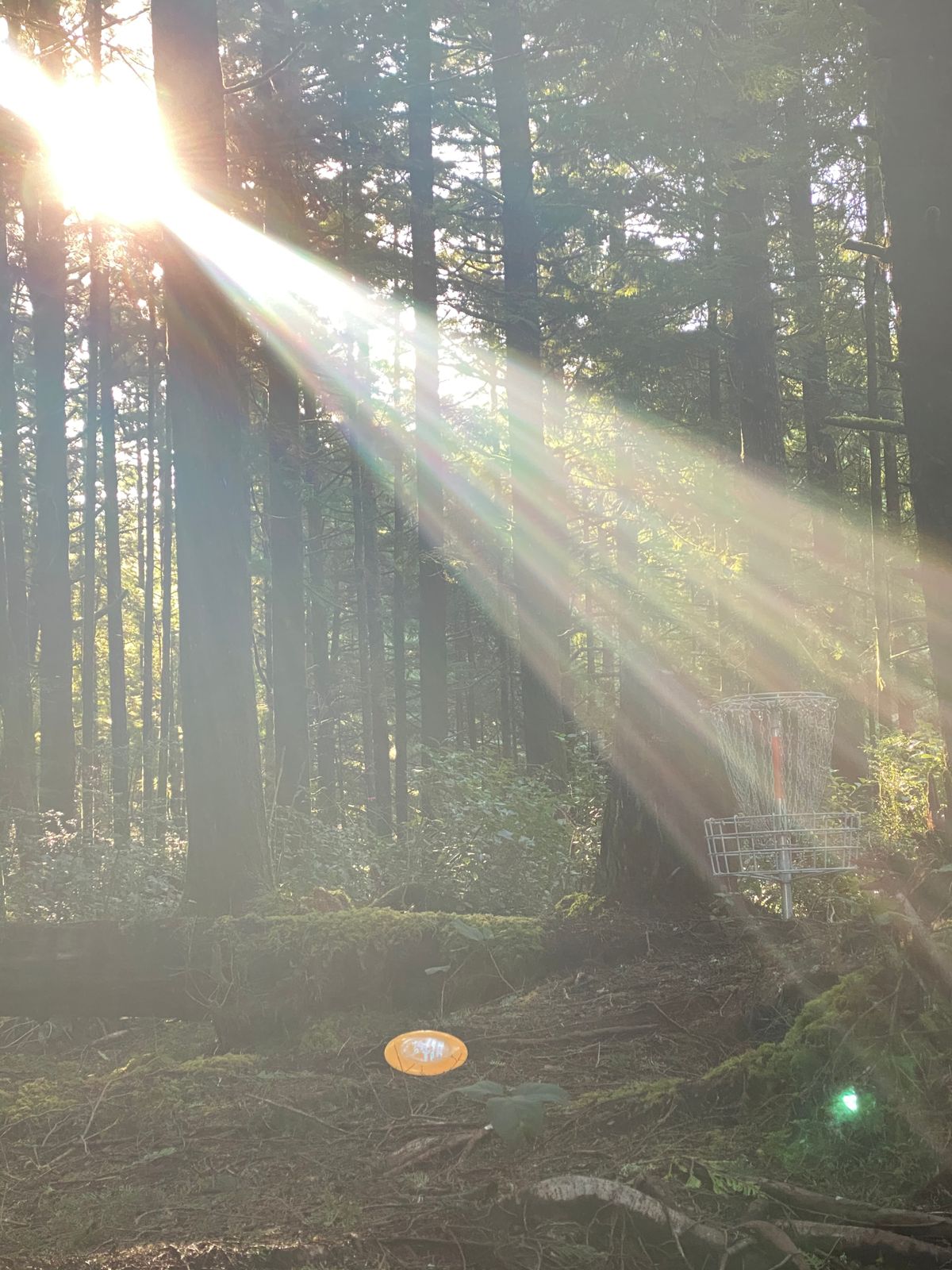 The light will show you the way.