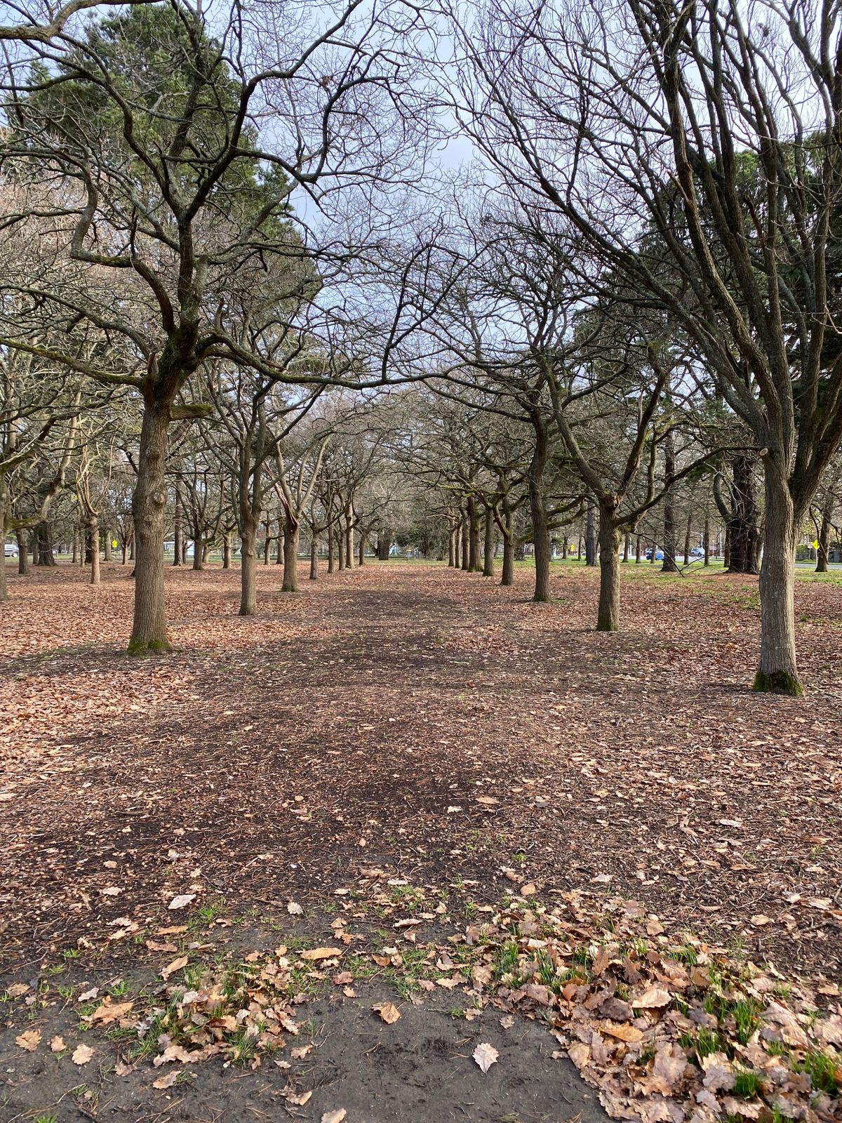 Hole 18
