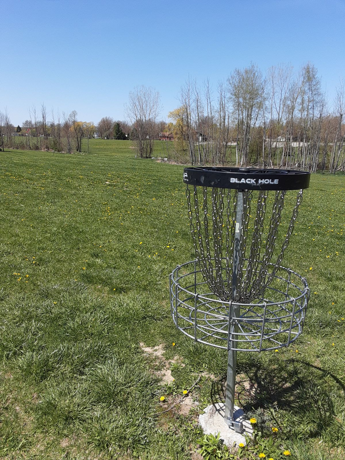 Hole 12 basket