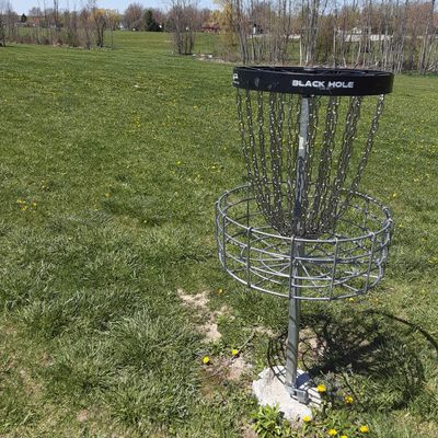 Hole 12 basket