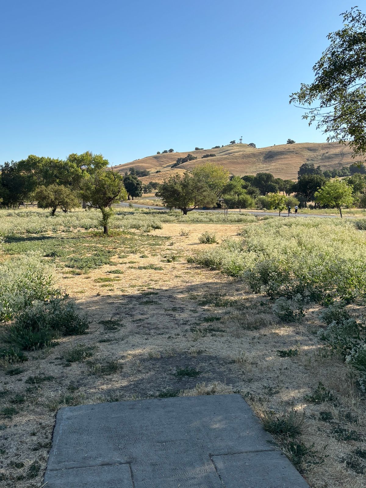Lagoon Front Hole 13