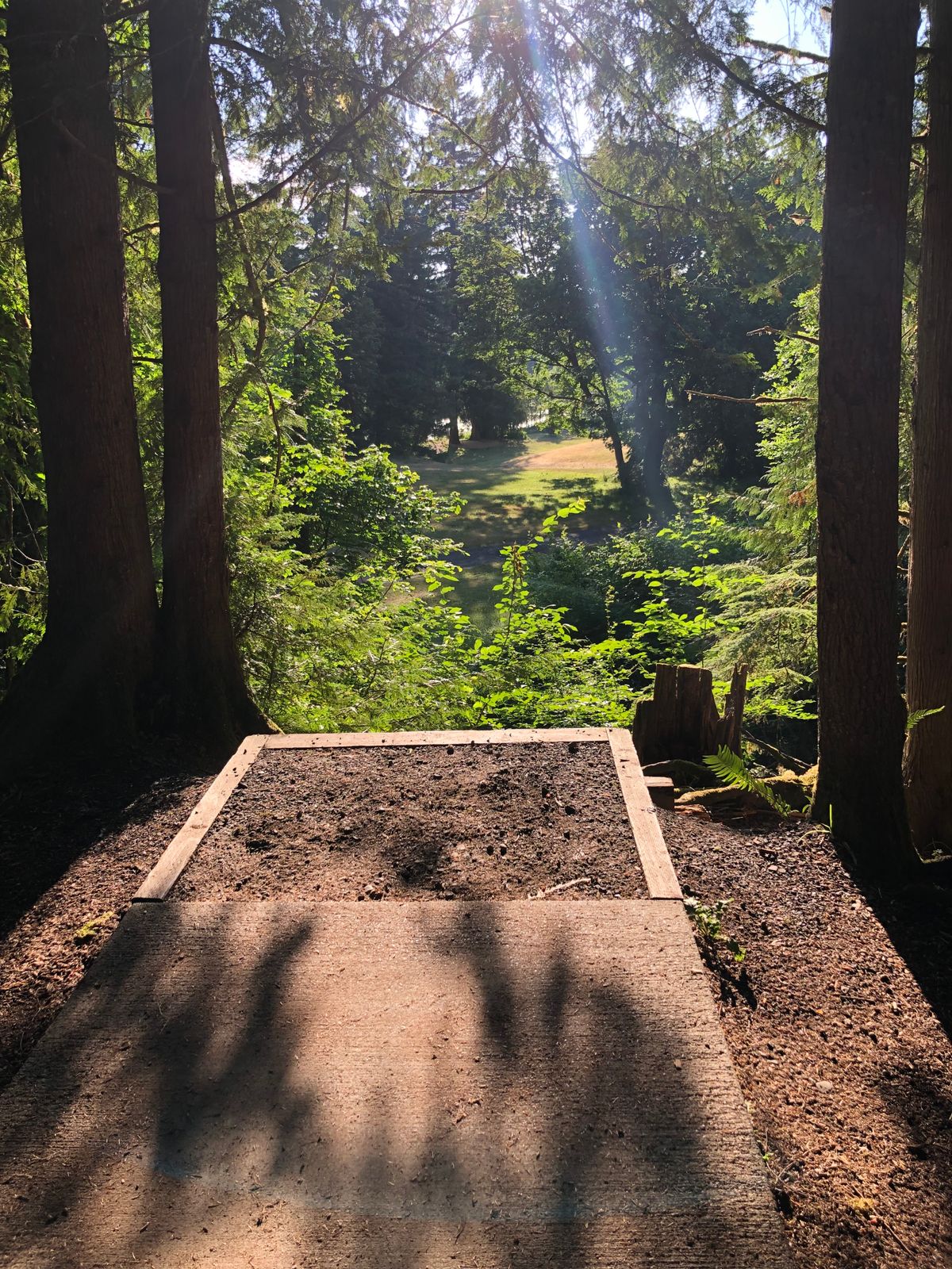 Hole 6 Tee