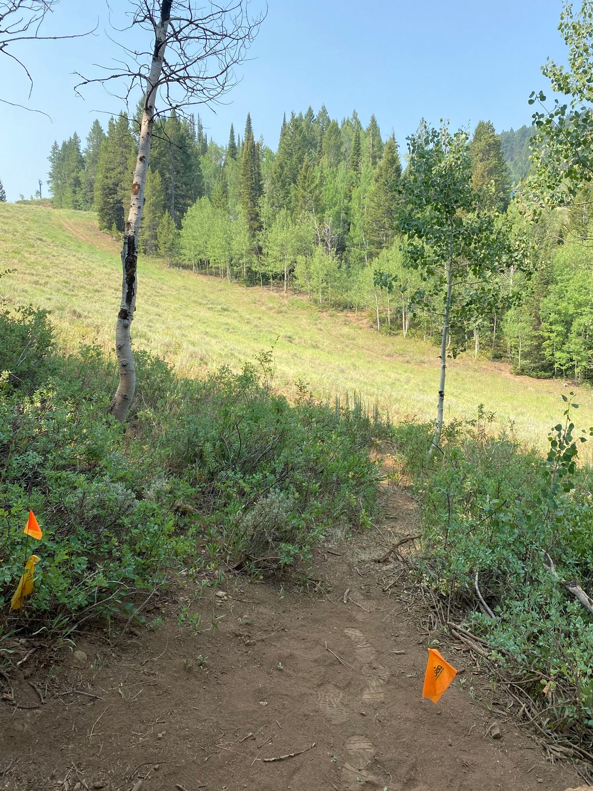 Hole 13