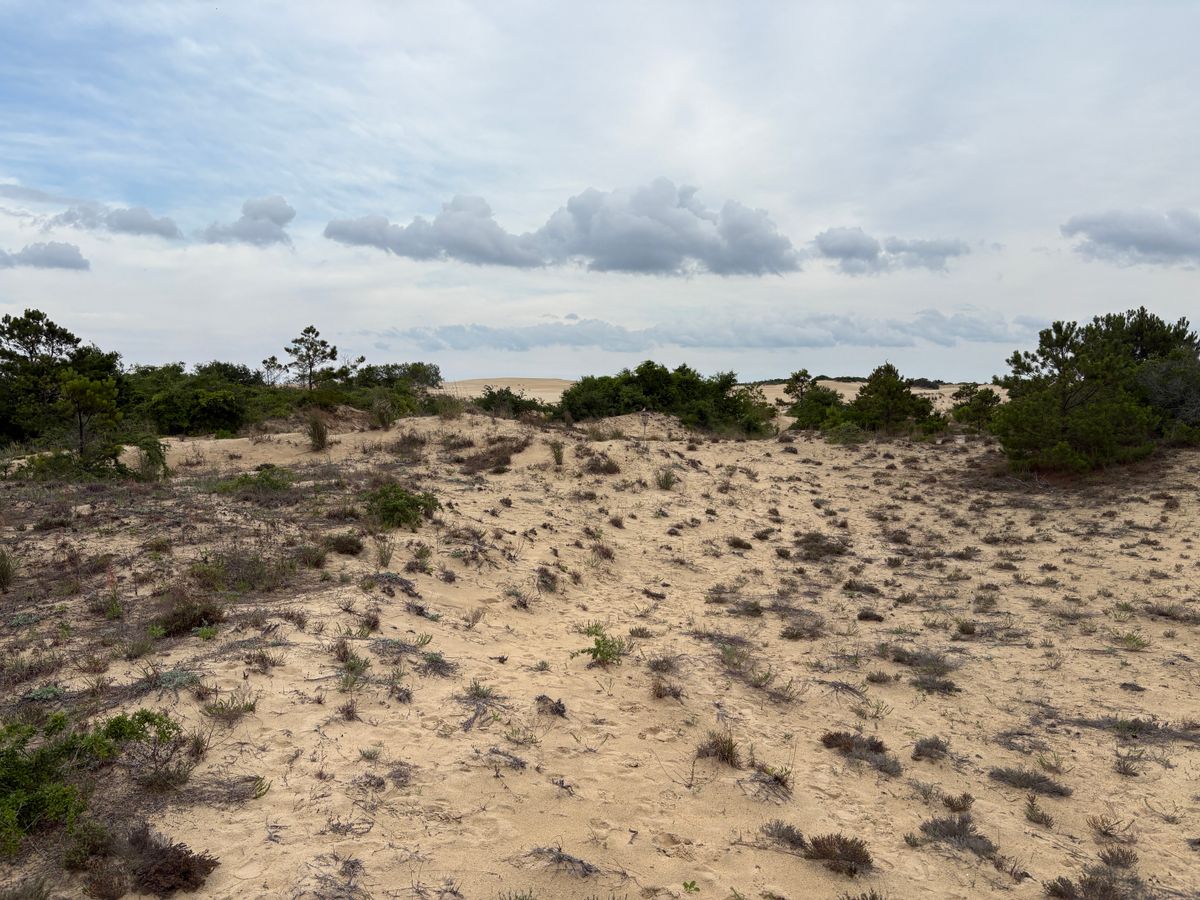 Hole 10 approach